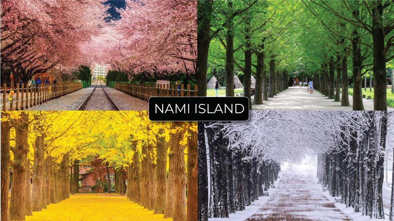 SEOUL - NAMI - EVERLAND (TN)